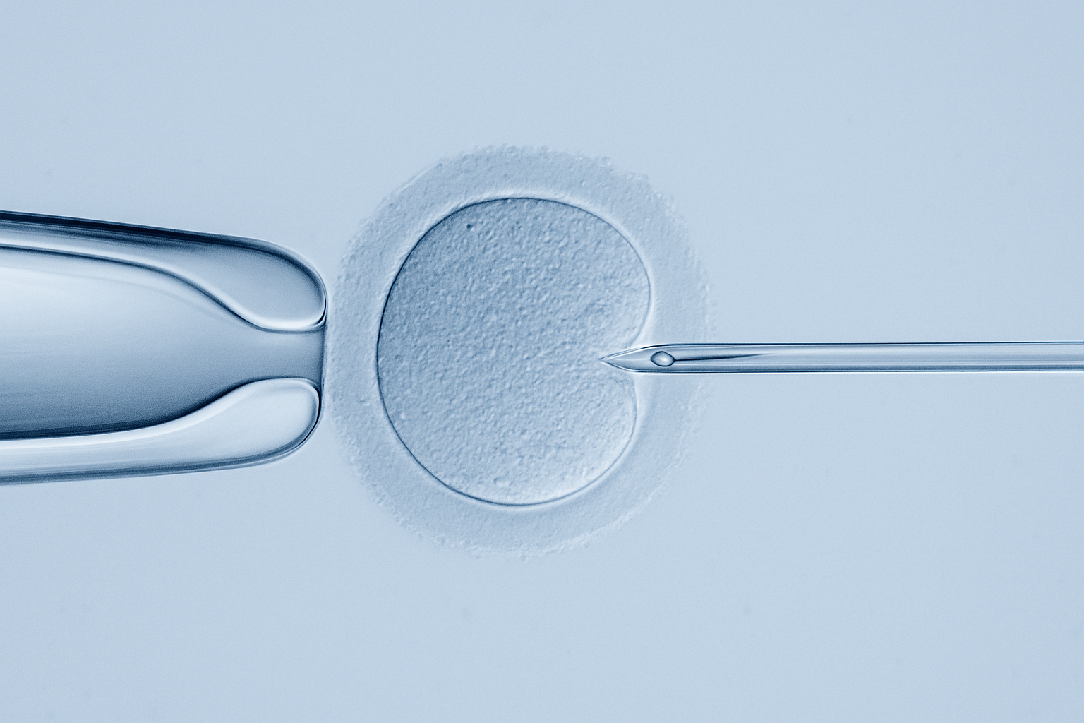 Εξωσωματική γονιμοποίηση Ελπίδα Βαρουχάκη Ηράκλειο Κρήτης